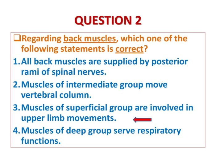 Which of the following statements is correct about spinal nerves